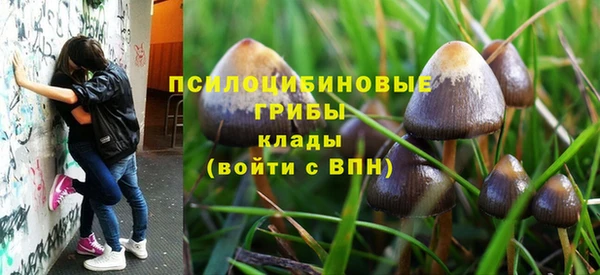 ешки Аркадак