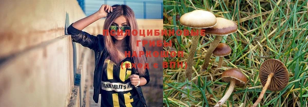 ешки Аркадак
