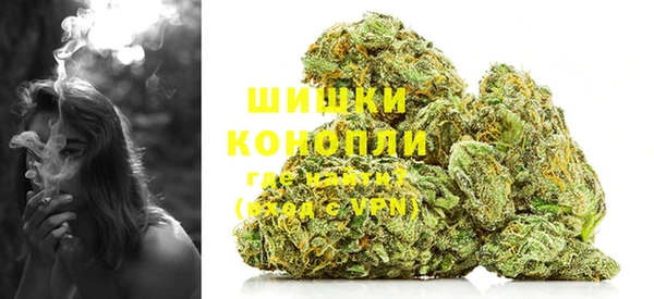 дурь Арсеньев