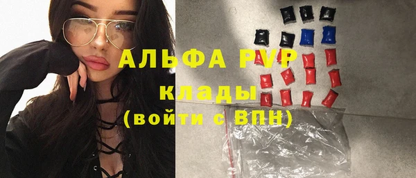 ешки Аркадак