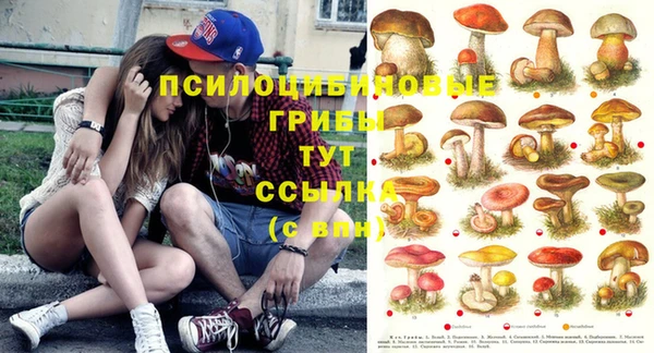 бутират Армянск