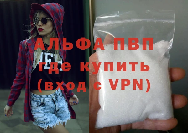 ешки Аркадак