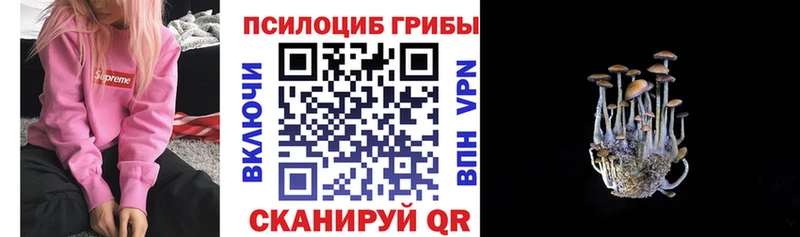 Галлюциногенные грибы ЛСД Чишмы
