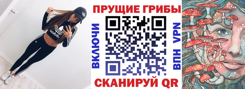Псилоцибиновые грибы GOLDEN TEACHER  наркотики  Чишмы 
